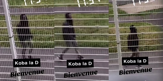 Les premières images de Koba LaD en prison ont fuité (Vidéo)